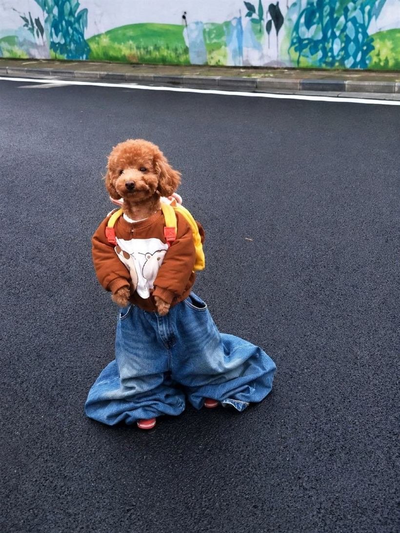 dogwifpants wearing oversized baggy denim jeans